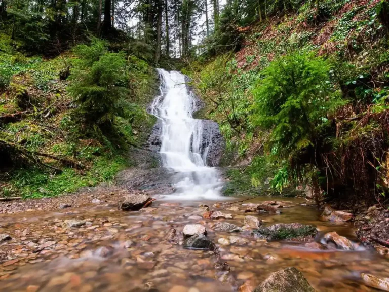 Saut de la bourrique - Moho mountain home