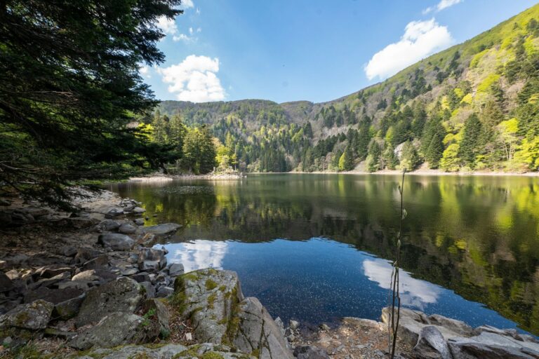 lac d'altenweiher - Moho mountain home