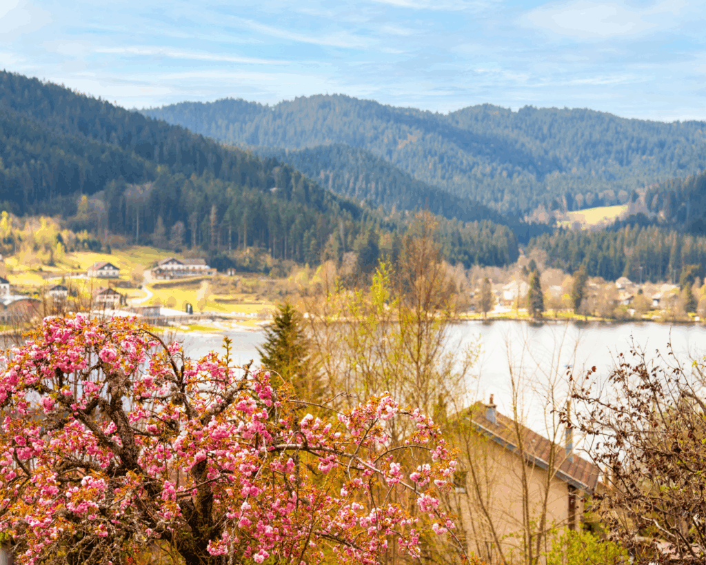 moho hébergement vosges gerardmer