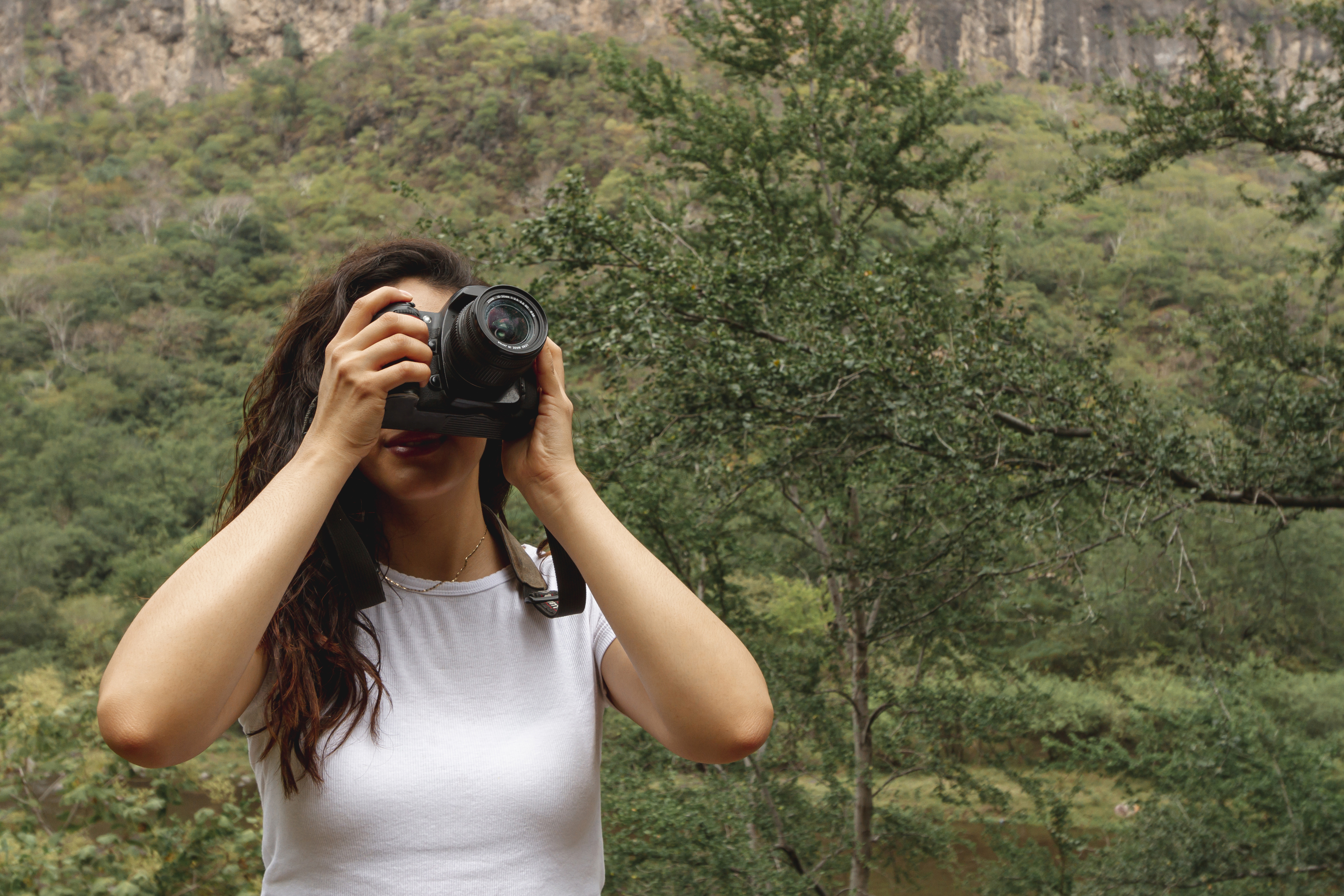 activités gérardmer été location vacances vosges chalet vosges gerardmer